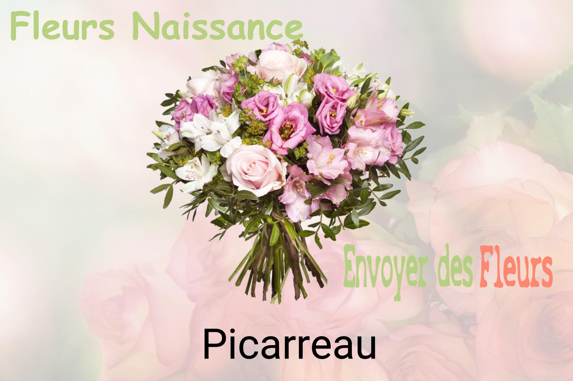 Bouquet de fleurs de naissance livré à Picarreau