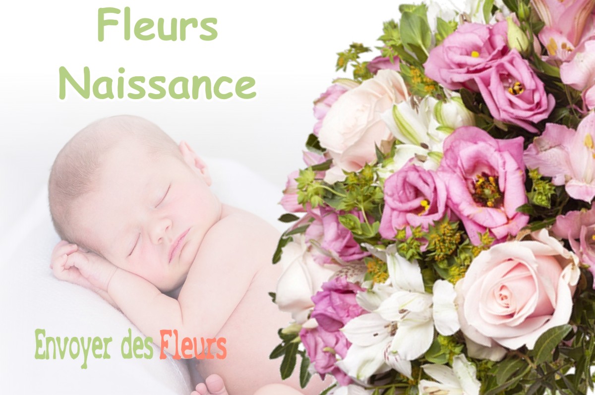 lIVRAISON FLEURS NAISSANCE à PICARREAU